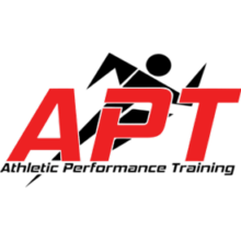 APT Logo Black Text